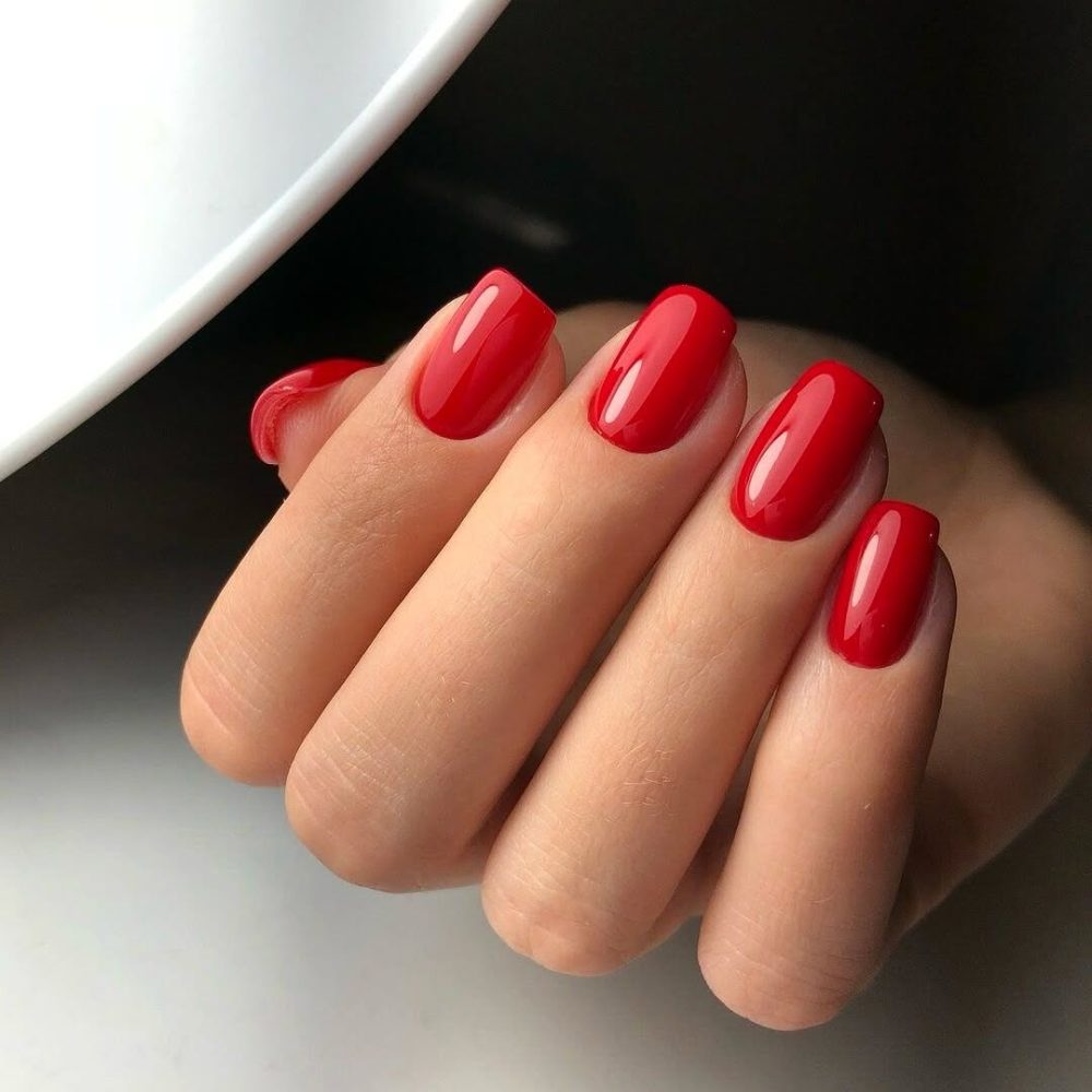 SaveClip.App_463102879_1727851618028459_1756901157542731702_n